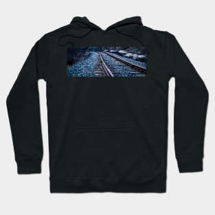 Railroad Tracks in Early Spring Hoodie